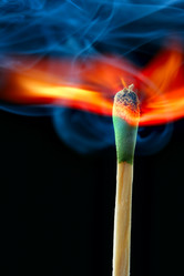 Similar image 503526