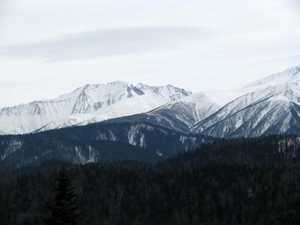 Similar image 503545