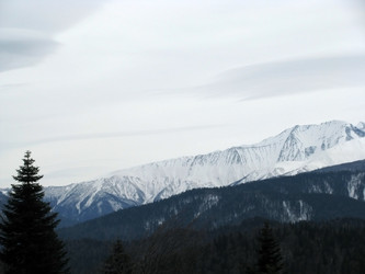 Similar image 503546