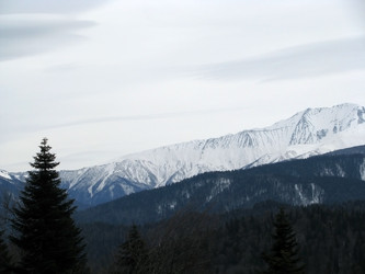 Similar image 503547