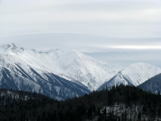 Similar image 503548