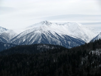 Similar image 503556