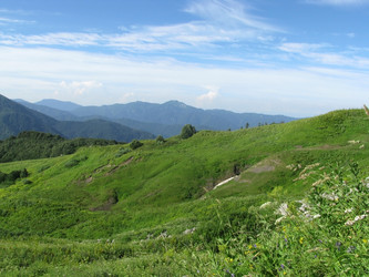 Similar image 503563