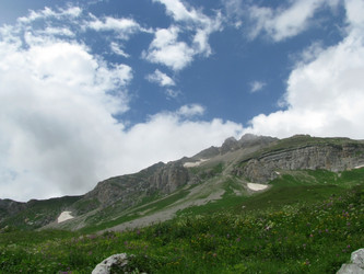 Similar image 503565