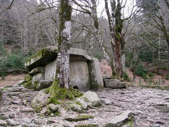 Similar image 503578