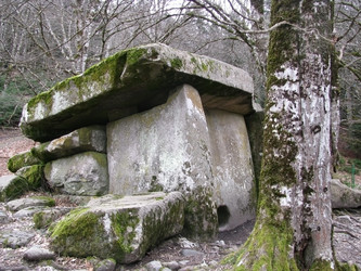 Similar image 503579