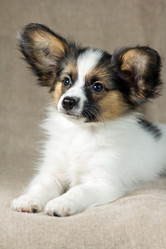 Similar image 503588