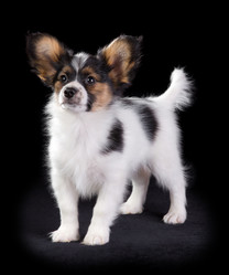 Similar image 503592