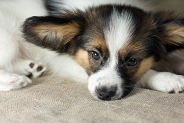 Similar image 503593