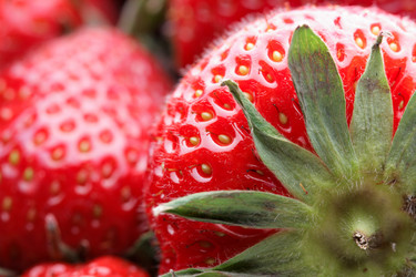 Similar image 503612