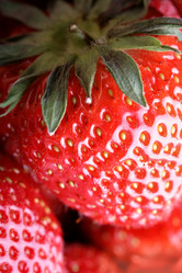 Similar image 503613