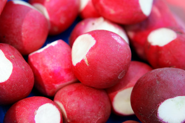 Similar image 503616