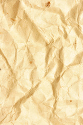 Similar image 503652