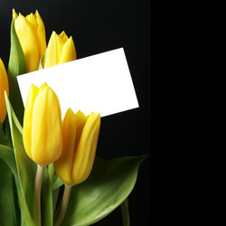 Similar image 503656