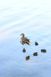 Similar image 503659