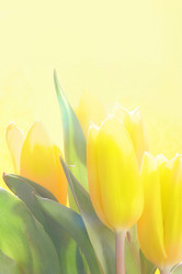 Similar image 503677