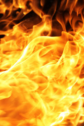 Similar image 503689