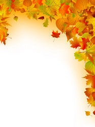 Similar image 503746