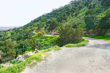 Similar image 503752