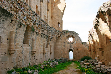 Similar image 503763