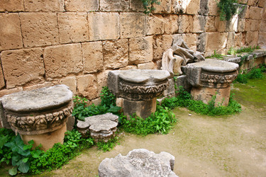 Similar image 503765