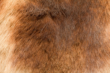 Similar image 503806