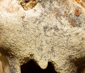 Similar image 503817