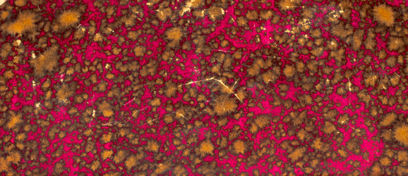 Similar image 503819