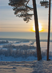 Similar image 503822