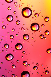 Similar image 503824