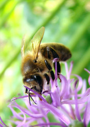 Similar image 503839