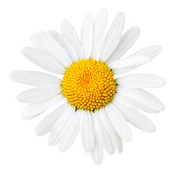 Similar image 503840