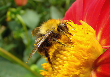 Similar image 503841