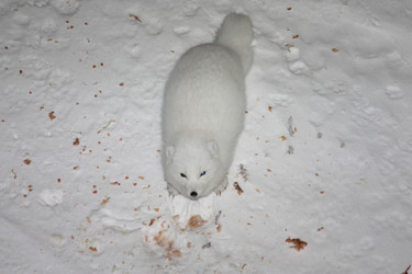 Similar image 503847