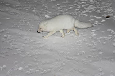 Similar image 503848