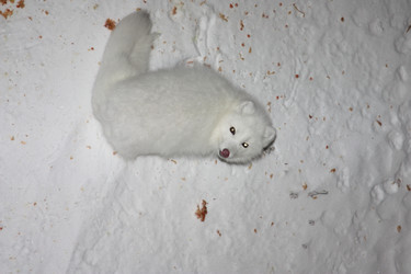 Similar image 503851