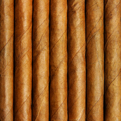 Similar image 503866