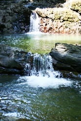 Similar image 503870