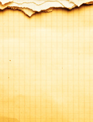 Similar image 503874