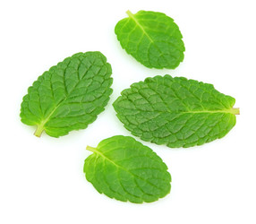 Similar image 503884