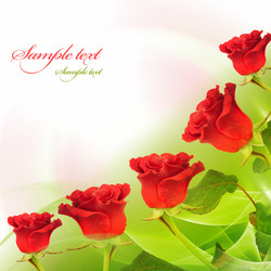 Similar image 503896