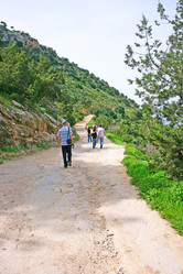 Similar image 503909