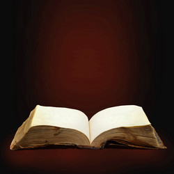 Similar image 503916