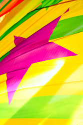 Similar image 503931