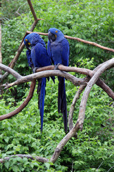 Similar image 503939