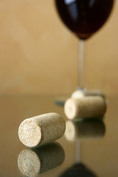 Similar image 503943