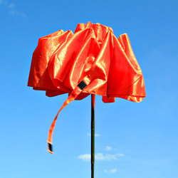 Similar image 503966