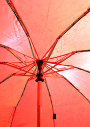 Similar image 503979