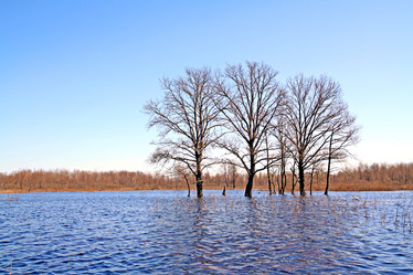 Similar image 503990