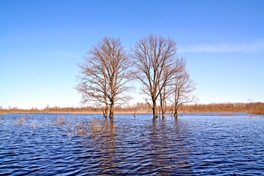 Similar image 503994